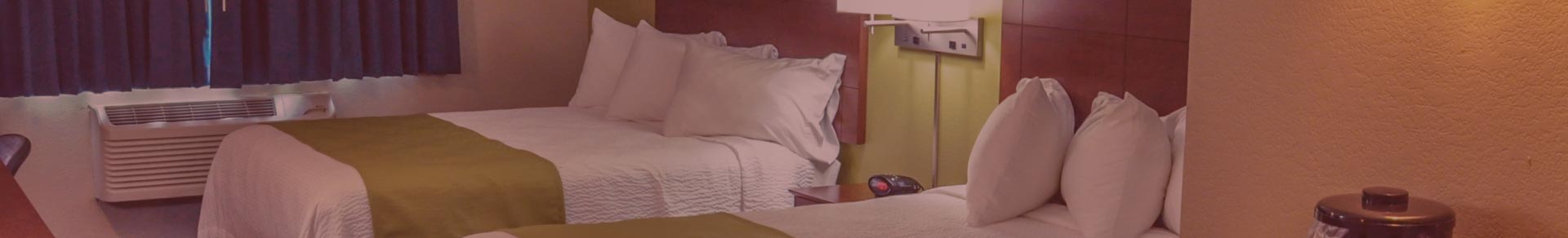 Specials & Promotions